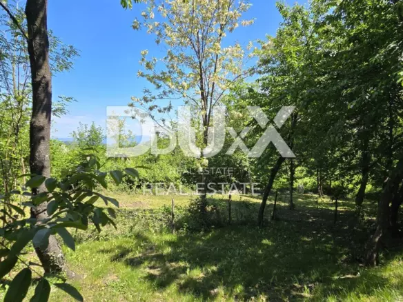Land In Gračišće, Croatia (17.270 M²)