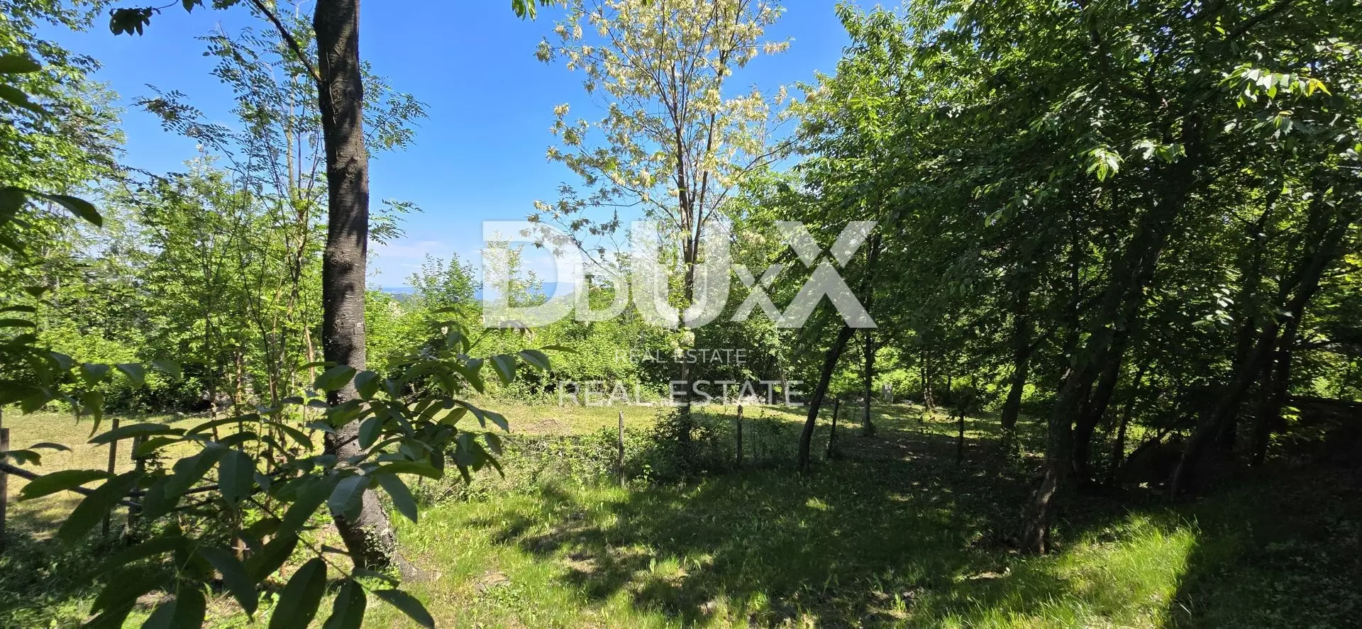 Land In Gračišće, Croatia (17.270 M²)