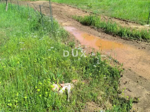 Land In Peroj, Croatia (678 M²)