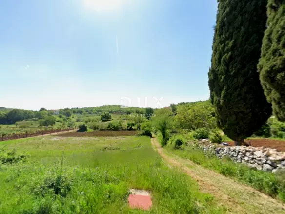 Land In Motovun, Croatia (1.089 M²)