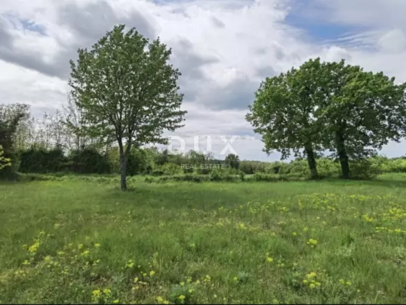 Land In Majkusi, Croatia (12.005 M²)