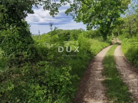 Land In Majkusi, Croatia (12.005 M²)