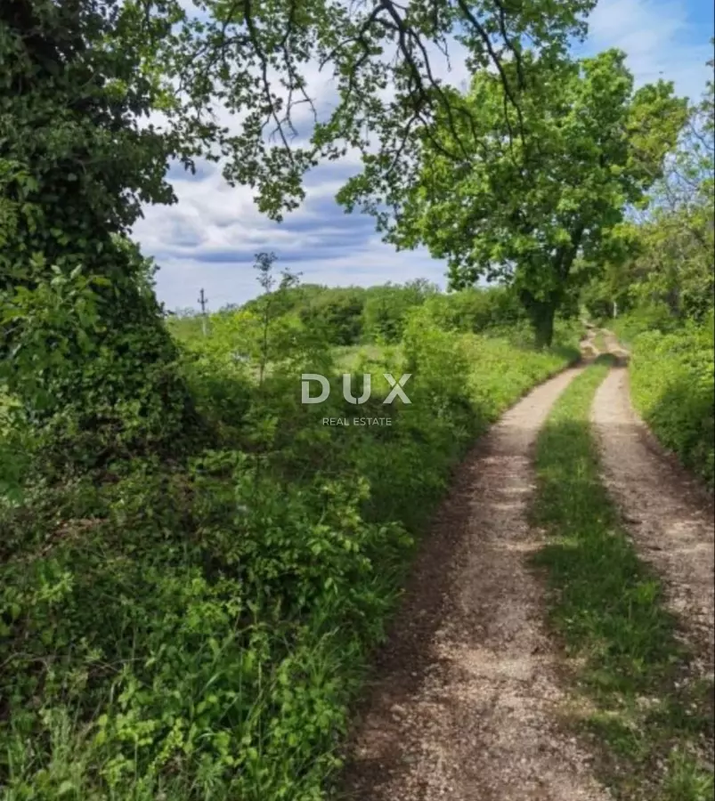 Land In Majkusi, Croatia (12.005 M²)