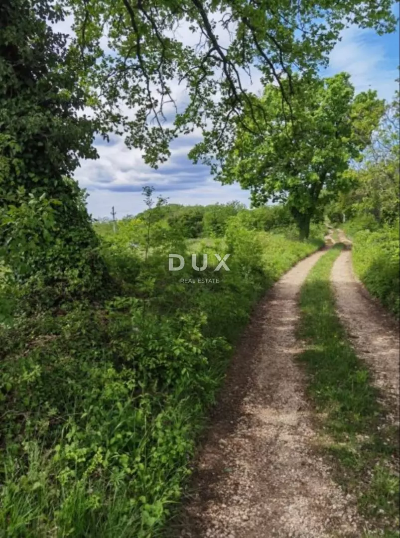 Land In Majkusi, Croatia (12.005 M²)