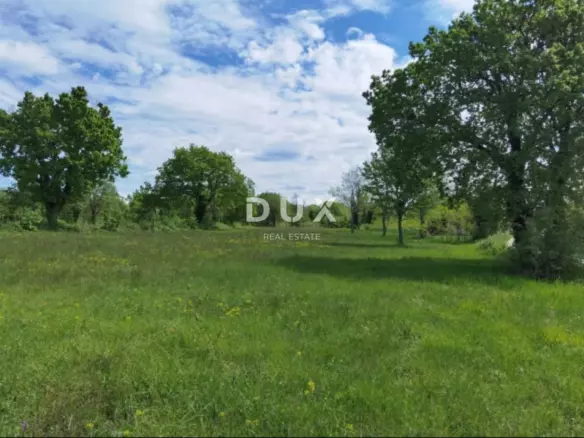 Land In Majkusi, Croatia (12.005 M²)