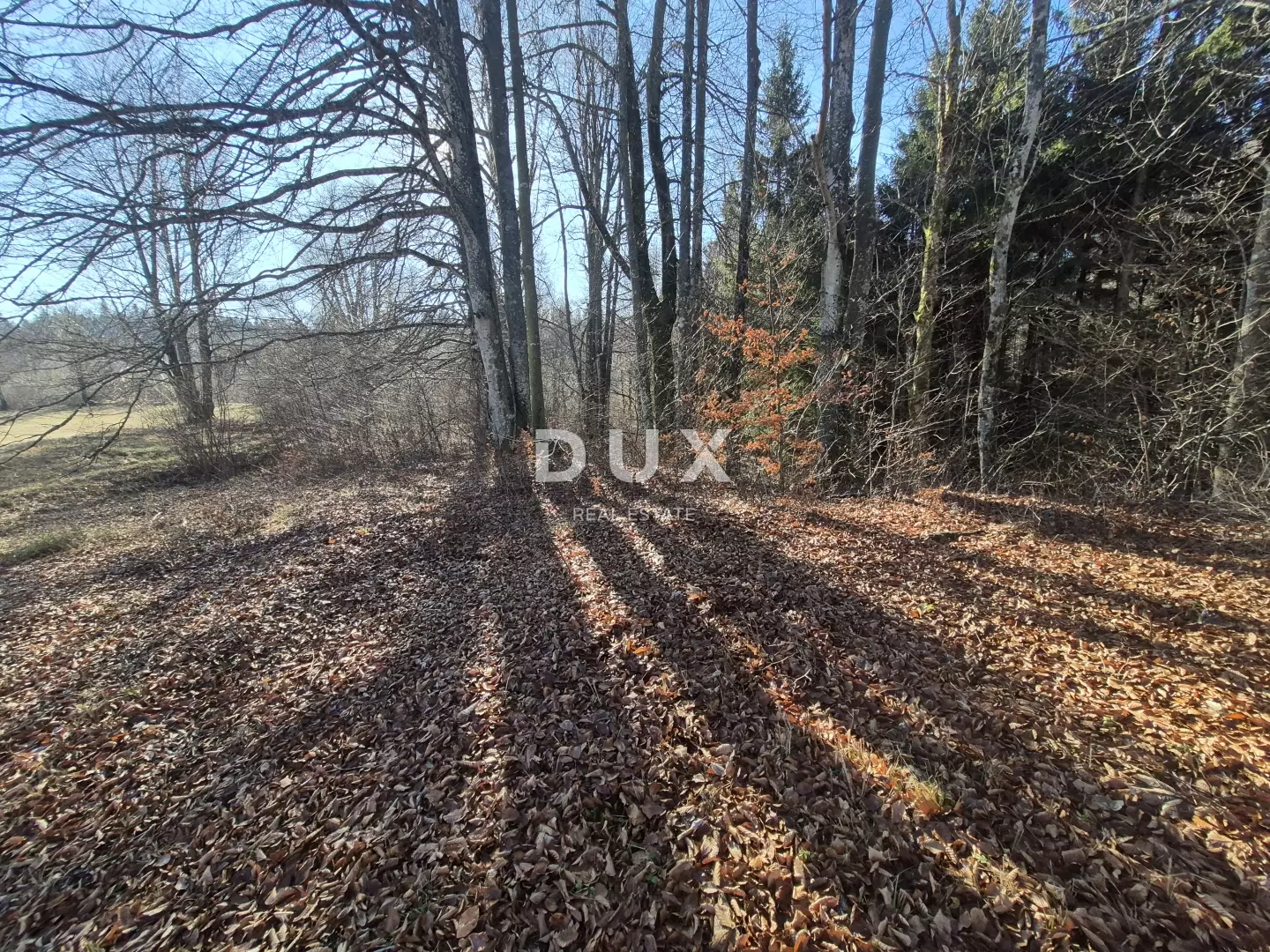 1765570403_20251211_113013-29b7de Land In Fužine, Croatia (1.198 M²)