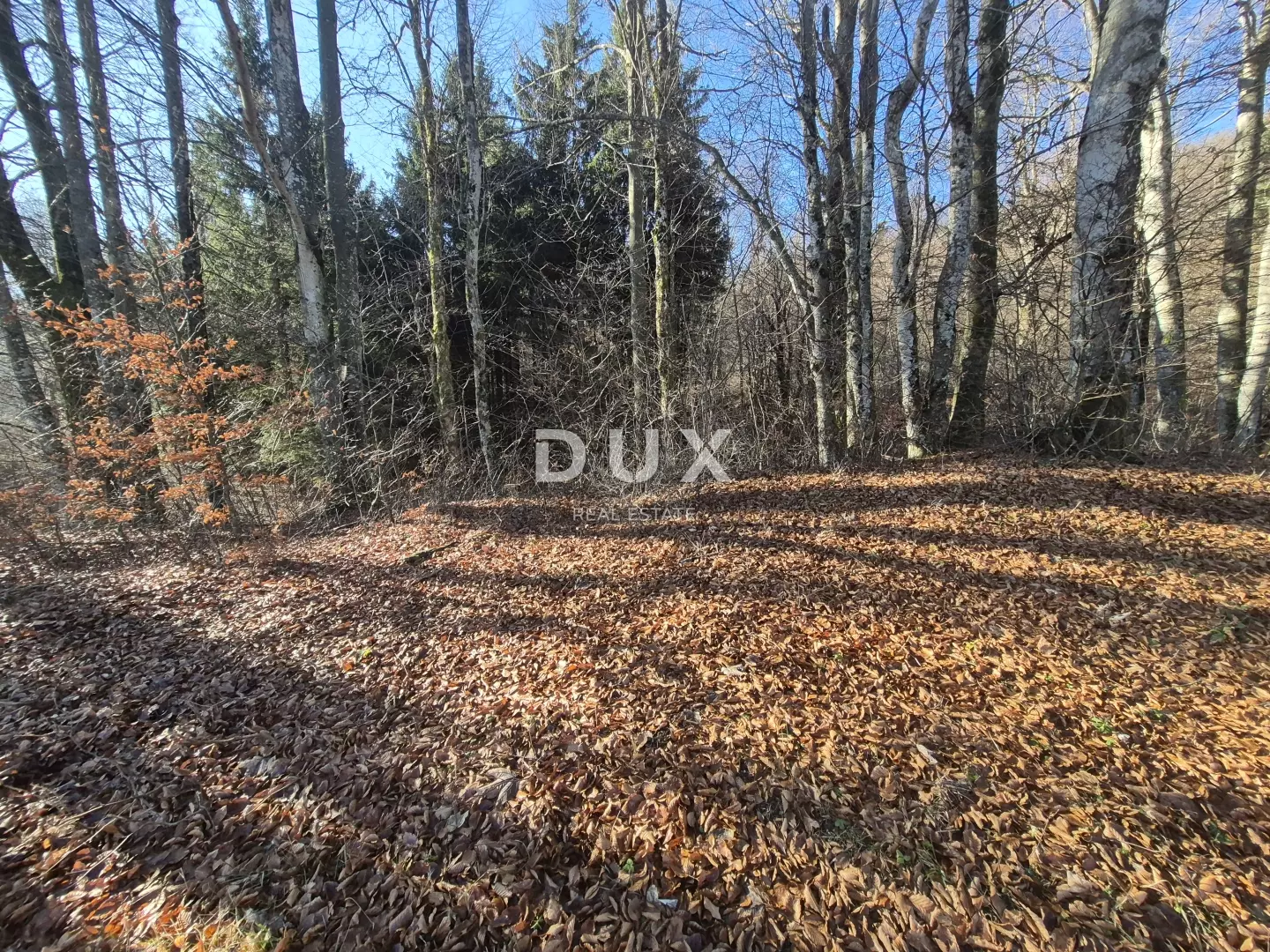 1765570411_20251211_113008-28552c Land In Fužine, Croatia (1.198 M²)