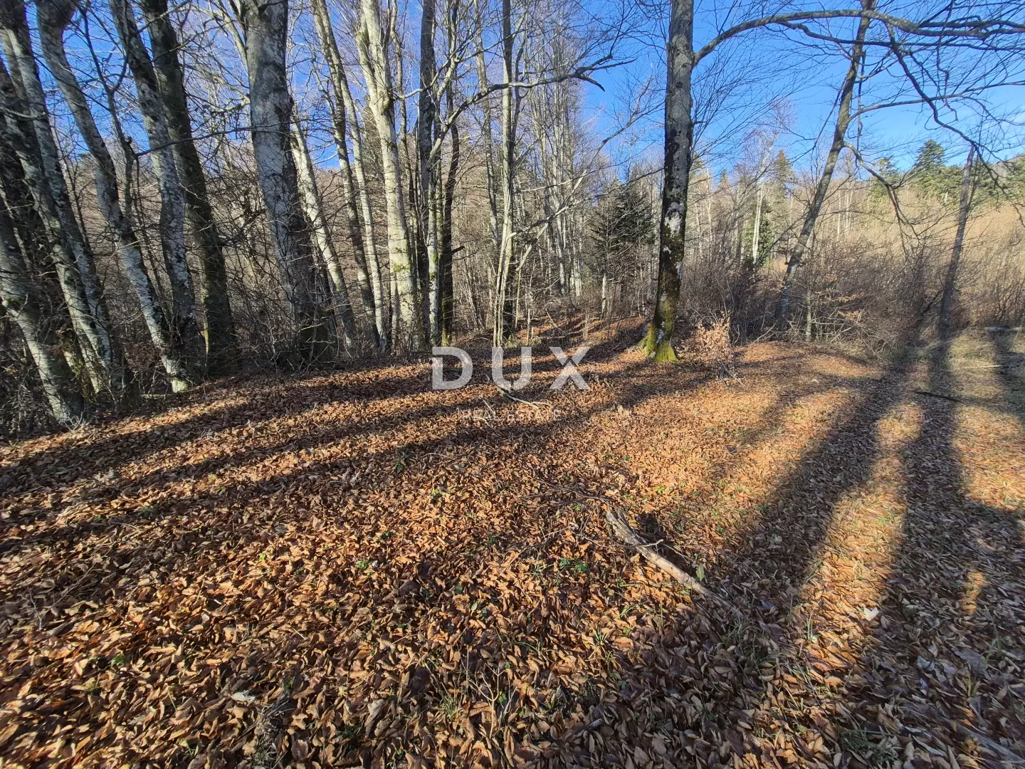 1765570418_20251211_113004-cb42fa Land In Fužine, Croatia (1.198 M²)
