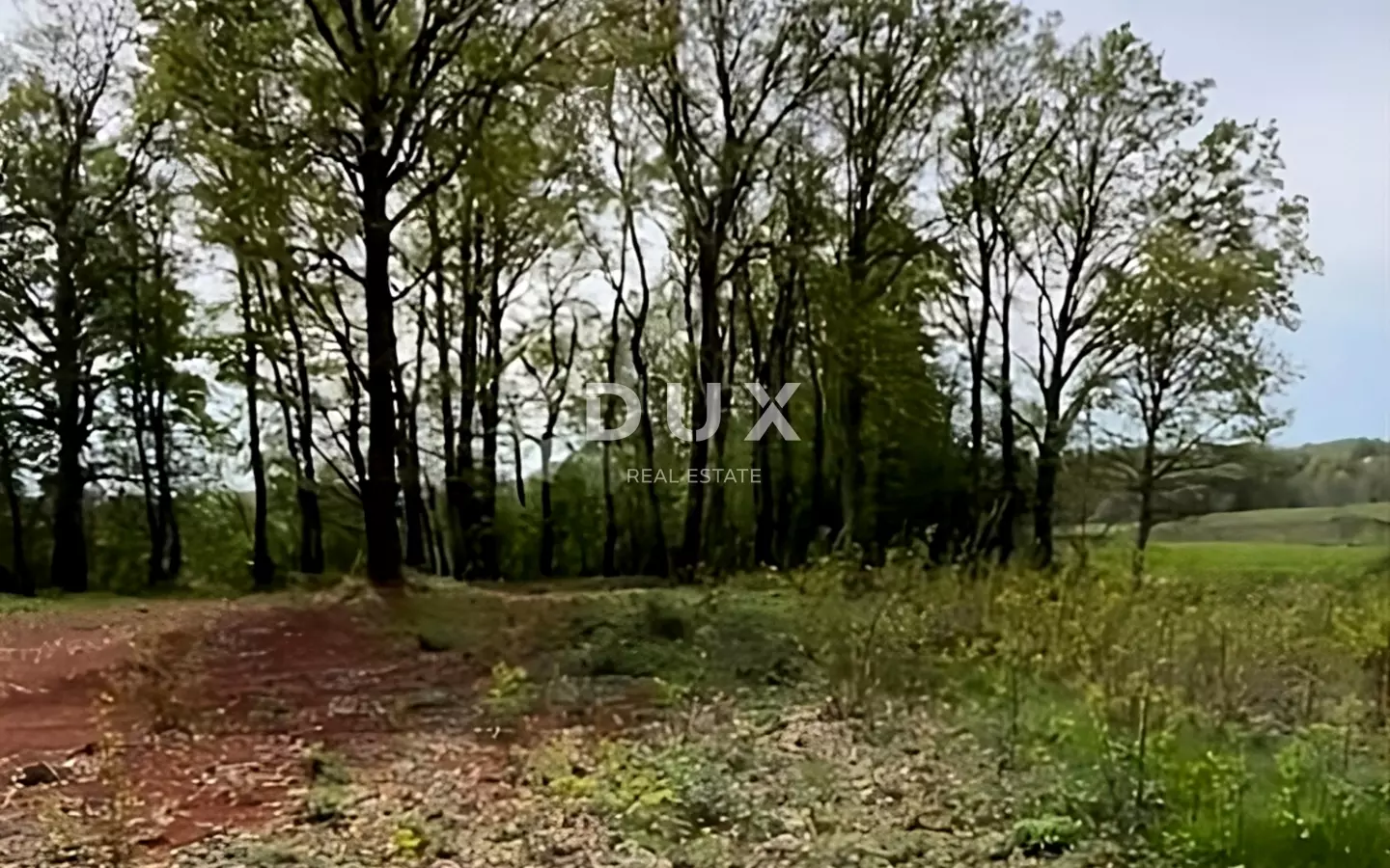 Land In Barban, Croatia (937 M²)