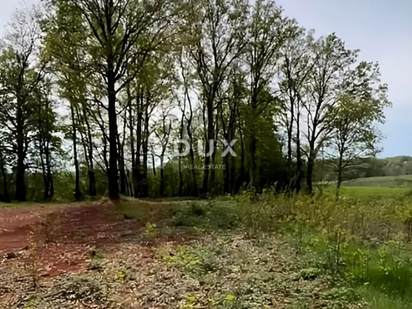 Land In Barban, Croatia (937 M²)