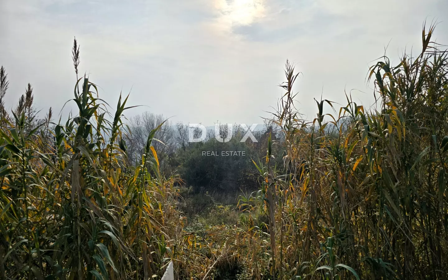 Land In Buje, Croatia (719 M²)