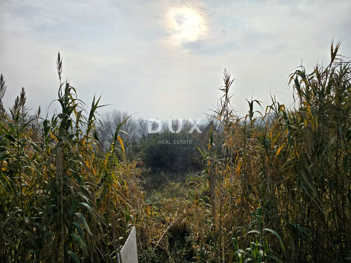 Land In Buje, Croatia (719 M²)