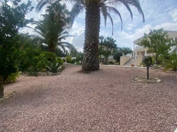 3-bedroom Villa In Algorfa, Spain (250 M²)