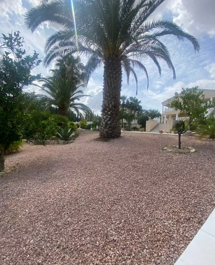 3-bedroom Villa In Algorfa, Spain (250 M²)