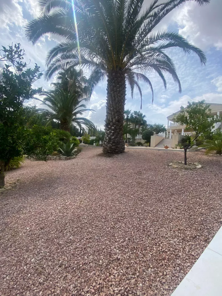 3-bedroom Villa In Algorfa, Spain (250 M²)
