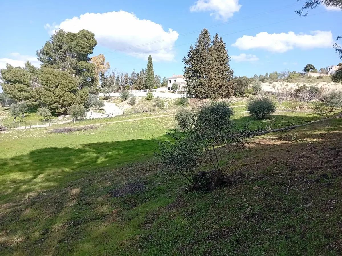 3-bedroom Country House In Arriate, Spain (180 M²)
