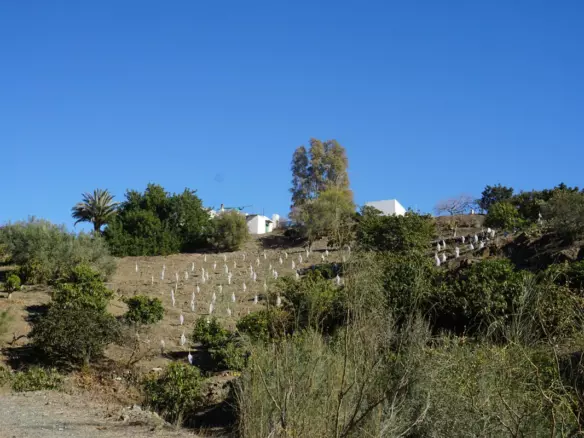 3-bedroom Country House In La Viñuela, Spain (220 M²)