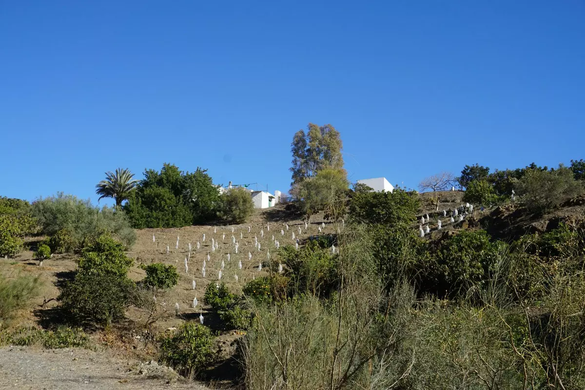 3-bedroom Country House In La Viñuela, Spain (220 M²)