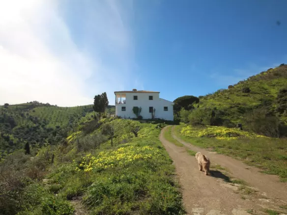 20-bedroom Country House In Almogía, Spain (866 M²)
