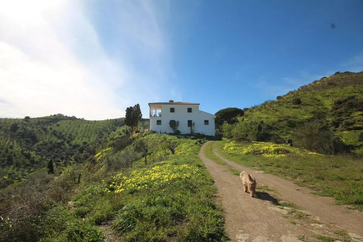 20-bedroom Country House In Almogía, Spain (866 M²)