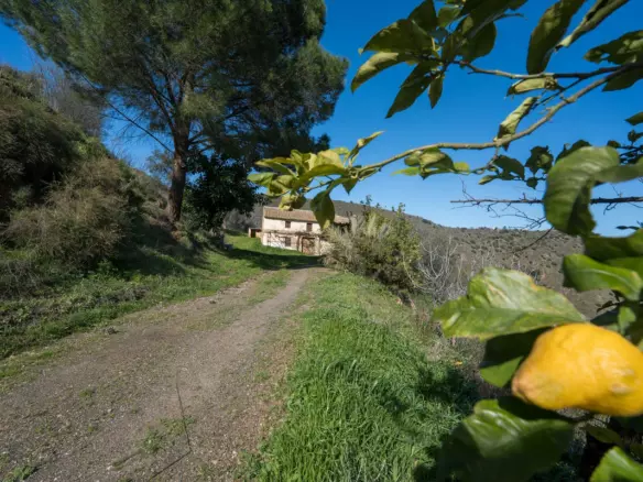 3-bedroom Villa In Colmenar, Spain (238 M²)