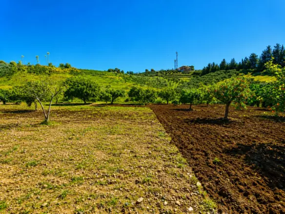 6-bedroom Country House In Estepona, Spain (206 M²)