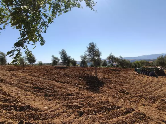4-bedroom Country House In Ronda, Spain (305 M²)