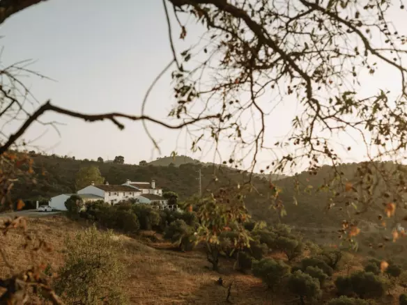 8-bedroom Country House In Casabermeja, Spain (440 M²)