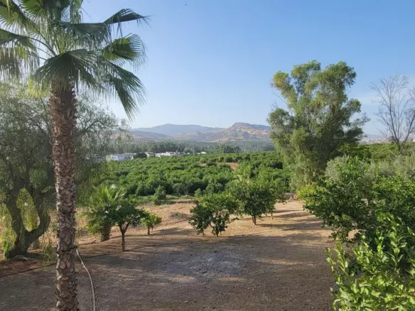 14-bedroom Country House In Pizarra, Spain (927 M²)