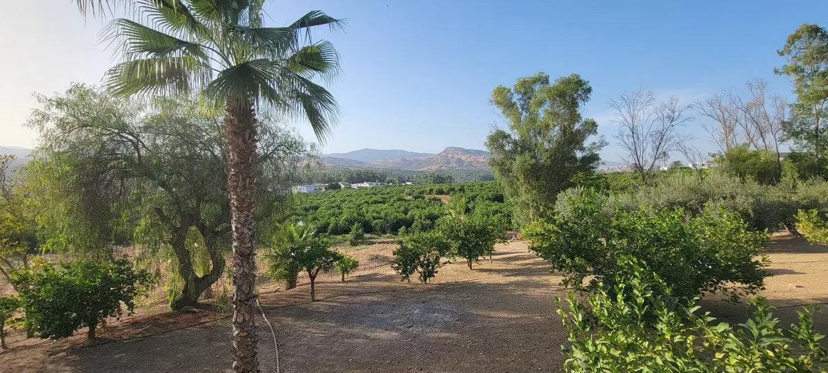 14-bedroom Country House In Pizarra, Spain (927 M²)