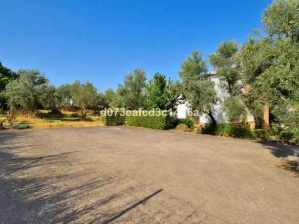 6-bedroom Country House In Arriate, Spain (244 M²)