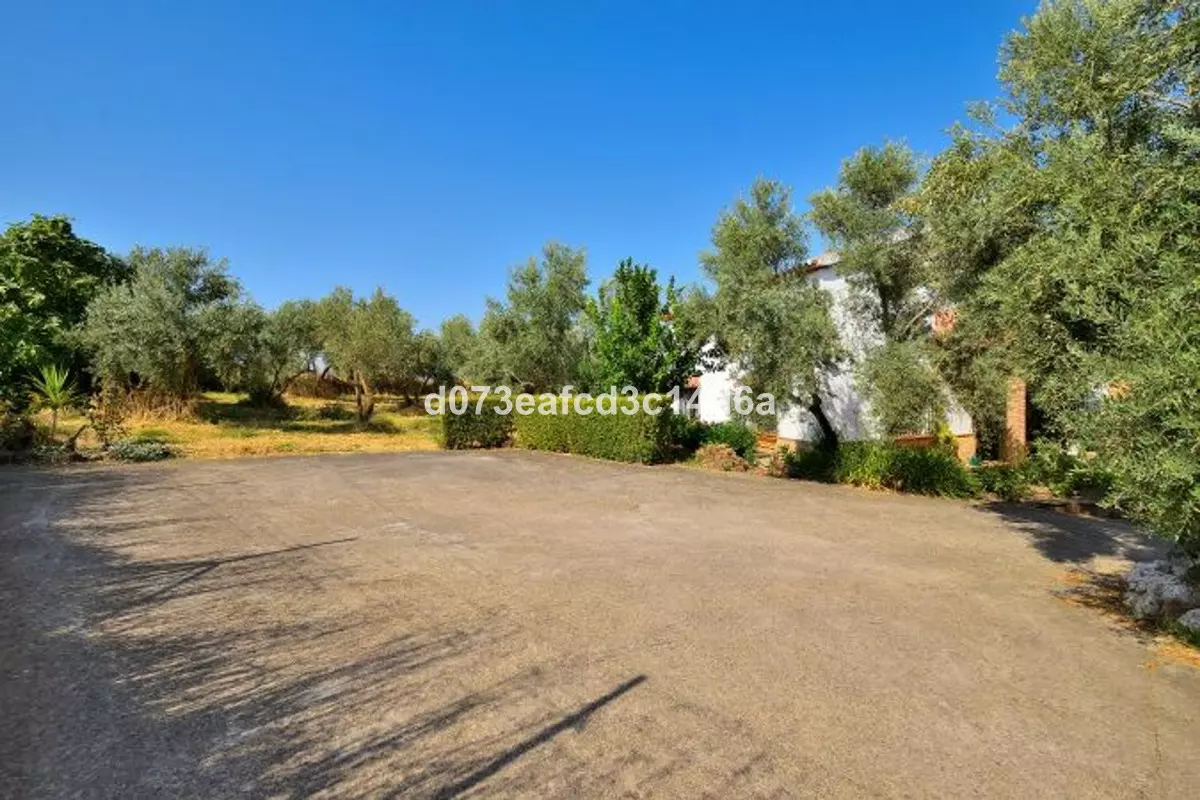 6-bedroom Country House In Arriate, Spain (244 M²)
