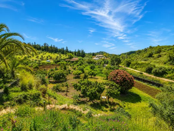 6-bedroom Country House In Estepona, Spain (206 M²)