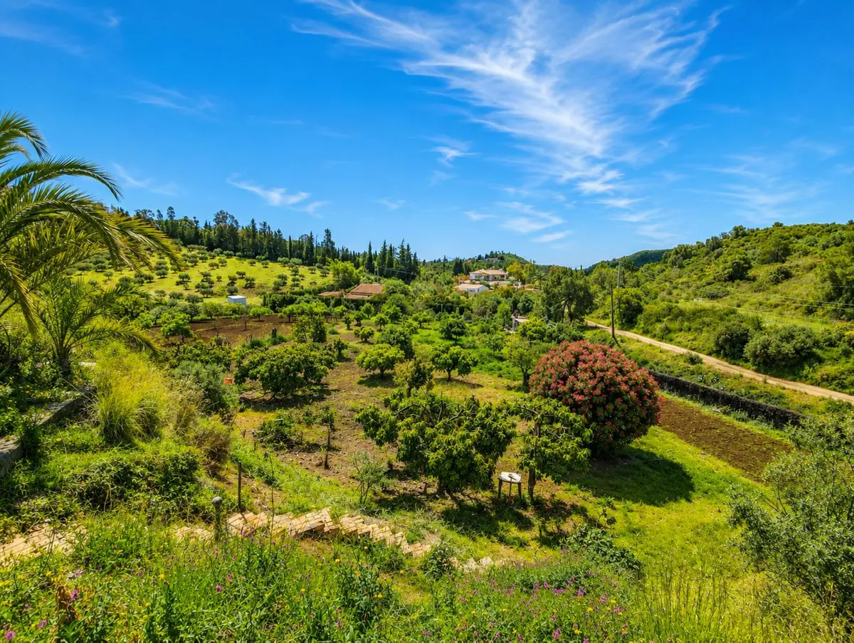 ShowFeedImage-40b96c 6-bedroom Country House In Estepona, Spain (206 M²)