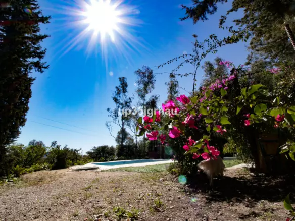 3-bedroom Villa In Gaucín, Spain (150 M²)