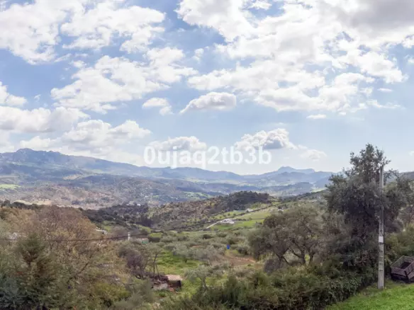 3-bedroom Country House In Cortes De La Frontera, Spain (246 M²)