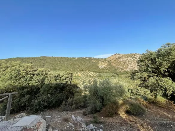 3-bedroom Country House In Alfarnate, Spain (145 M²)