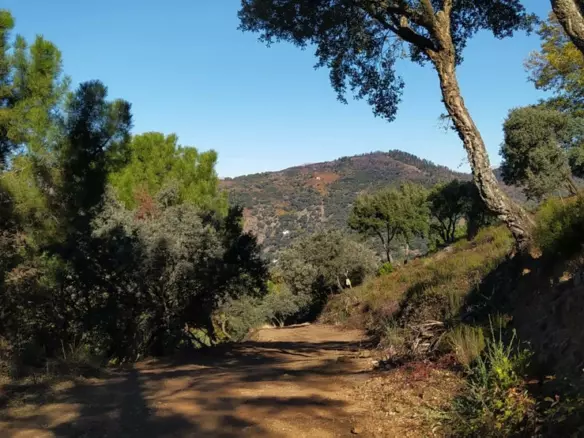 2-bedroom Country House In Jubrique, Spain (110 M²)