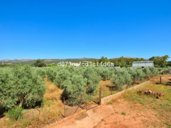 1-bedroom Country House In Ronda, Spain (809 M²)
