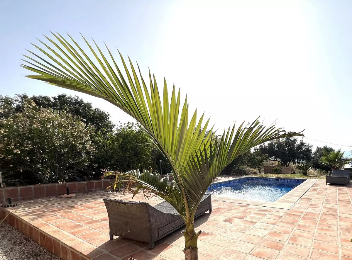 3-bedroom Villa In Canillas De Aceituno, Spain (128 M²)