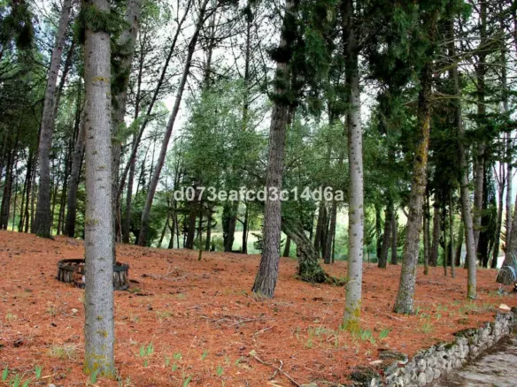 3-bedroom Villa In Ronda, Spain (143 M²)