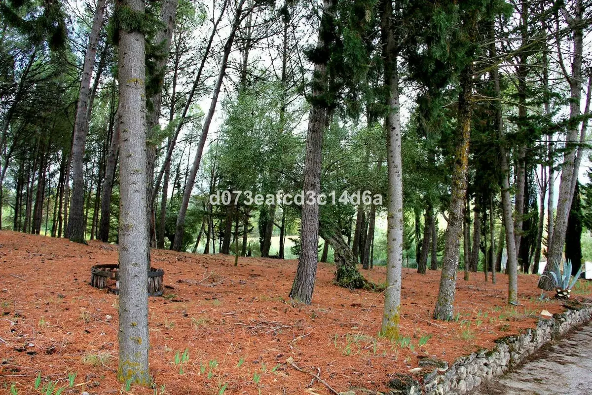 3-bedroom Villa In Ronda, Spain (143 M²)