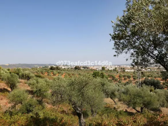 6-bedroom Villa In Ronda, Spain (256 M²)