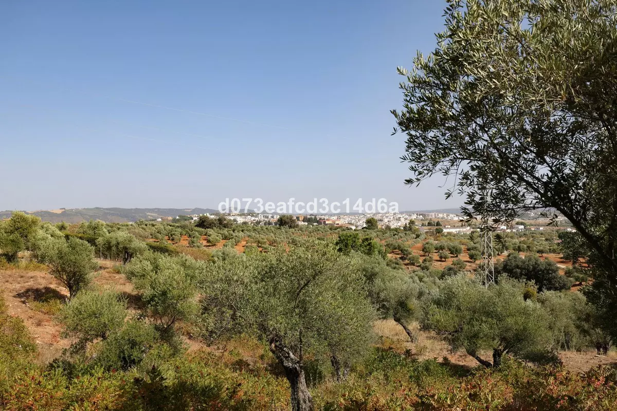 6-bedroom Villa In Ronda, Spain (256 M²)