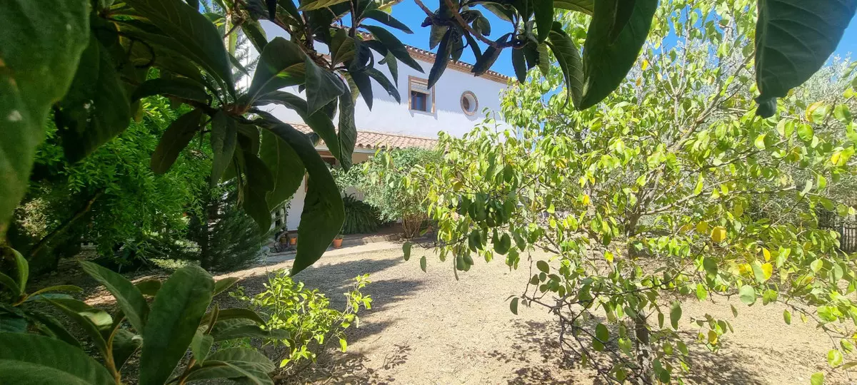 4-bedroom Villa In Cortes De La Frontera, Spain (180 M²)