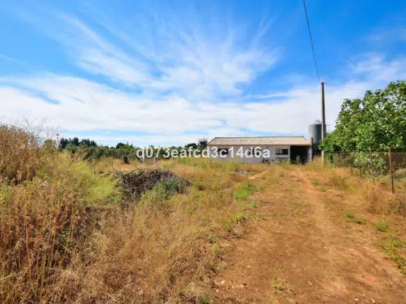 1-bedroom Country House In Ronda, Spain (809 M²)