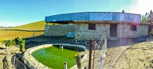 6-bedroom Country House In Casarabonela, Spain (699 M²)
