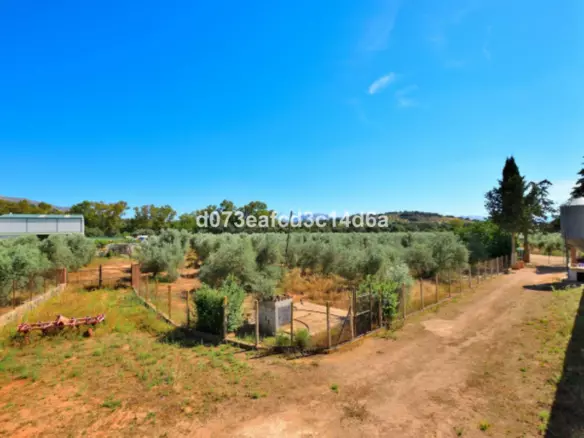 1-bedroom Country House In Ronda, Spain (809 M²)