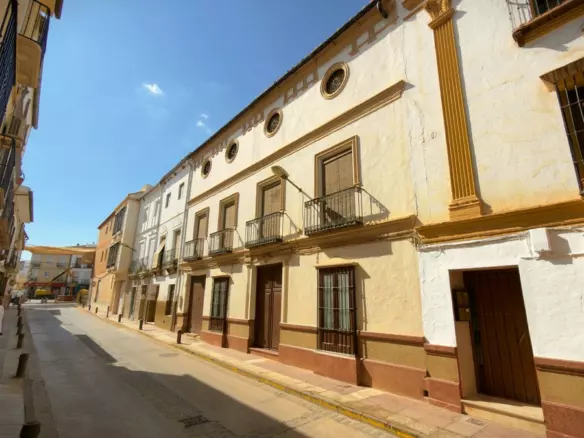4-bedroom Town House In Alameda, Spain (675 M²)