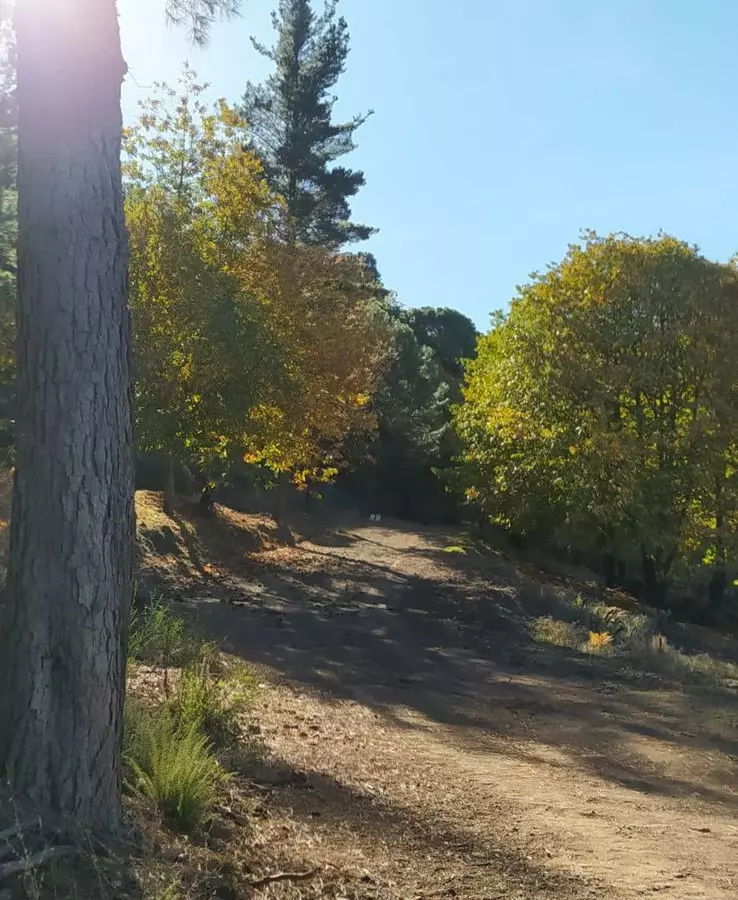 2-bedroom Country House In Jubrique, Spain (110 M²)